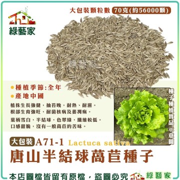 【綠藝家】大包裝A71-1.唐山半結球萵苣種子70克(約56000顆) 蔬菜種子 葉菜種子 全年可種植 易栽培