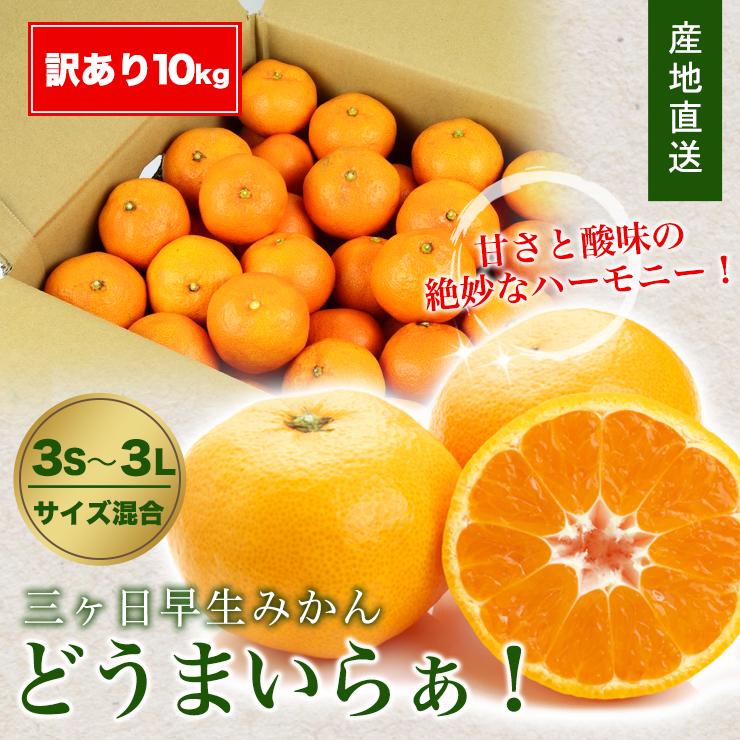  三ヶ日 早生 みかん 10kg どうまいらぁ！ みかん 送料無料 S 〜 3L サイズ不揃い 三ヶ日みかん 訳ありみかん 産地直送