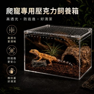 【水幻奇境】爬蟲飼養箱 磁吸上蓋通風飼養盒 守宮 蜘蛛 角蛙 甲蟲 多尺寸