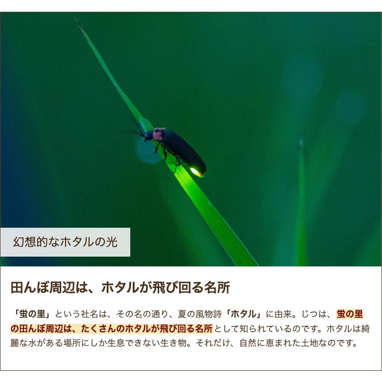 特別栽培米（減農薬・減化学肥料）新潟県産コシヒカリ 精米2kg 株式会社 蛍の里 のし無料 送料無料