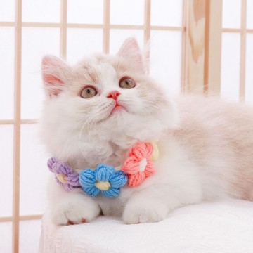 🐕‍🦺隔日到貨🐈‍⬛ 貓咪編織項圈 花花編織項圈 寵物手工針織毛線 狗狗圍脖 寵物飾品 寵物脖圈 狗狗貓咪口水巾圍兜