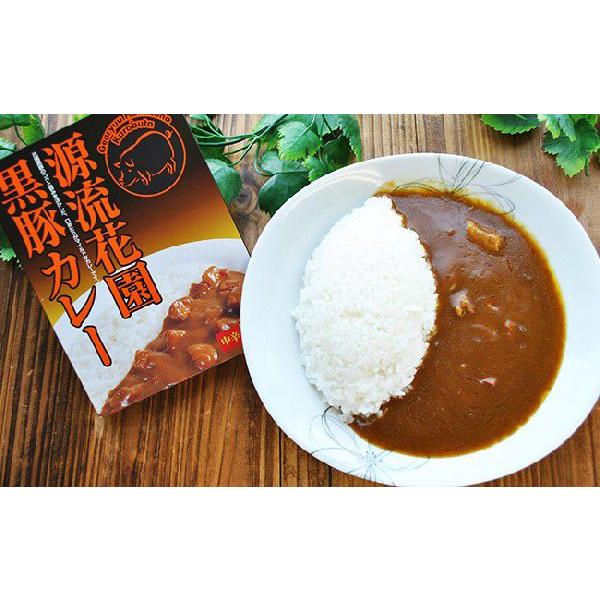 ご当地カレー　レトルトカレー 埼玉 源流花園黒豚カレー 中辛　 200ｇ