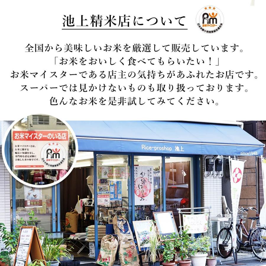 新米 米 お米 5kg 土佐 天空の郷 にこまる 特別栽培米 高知県 本山町 金賞受賞 玄米 5キロ お米マイスター 棚田 米5kg 精米 分づき