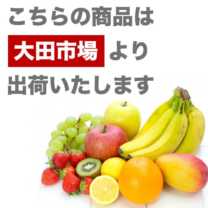 レタス クリーンベジの低カリウムレタス 6袋（約65g／1袋）