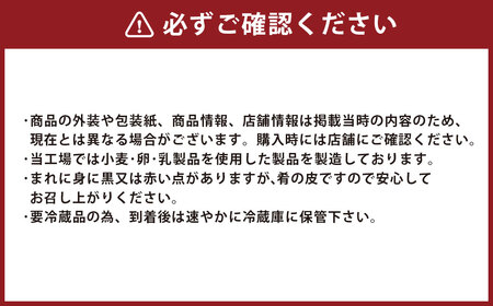 徳永蒲鉾の歴史ある 天ぷら 詰め合わせ セット 9種 てんぷら