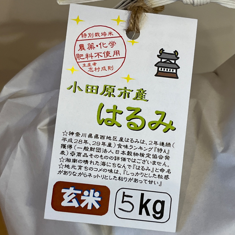 93-2071 志村屋米穀店 令和5年産新米小田原市産 農薬・化学肥料不使用はるみ(玄米) 5kg ＜出荷時期：10月中旬より順次出荷開始＞