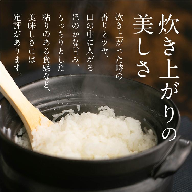  令和５年産 あさか舞 精米コシヒカリ 10kg