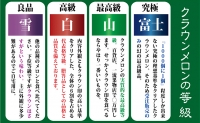 クラウンメロン　特大玉　1玉　12ヵ月連続お届け