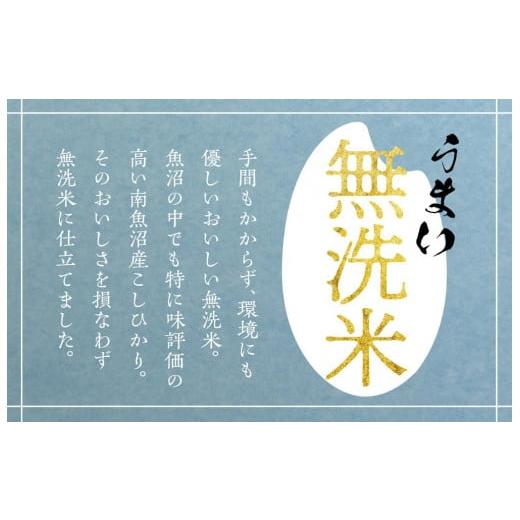 ふるさと納税 新潟県 南魚沼市 （5kg×全6回）無洗米　南魚沼産こしひかり