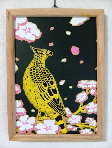 櫻鷹圖