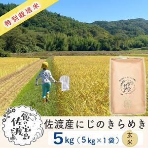 佐渡島産 にじのきらめき 玄米5kg×1袋 特別栽培米