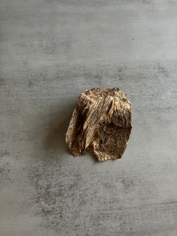 野生芽莊沉香老料S37(9.2克)