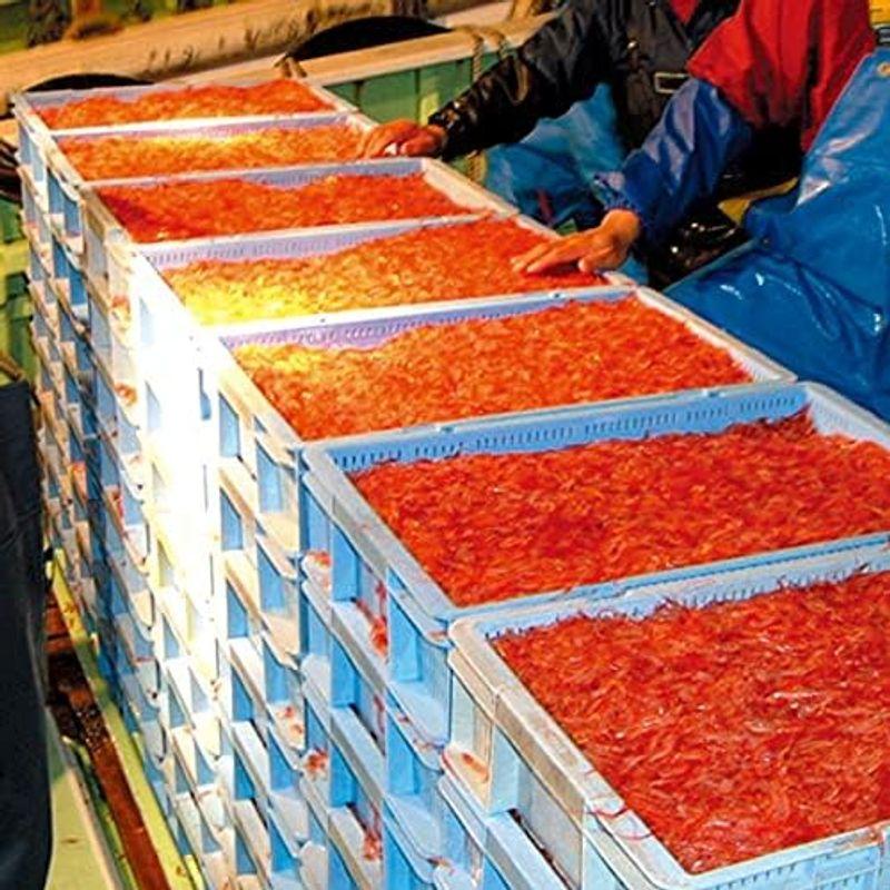 産地直送 桜えび 駿河湾 海老 エビ 釜揚げ 駿河湾産 30g×5パック