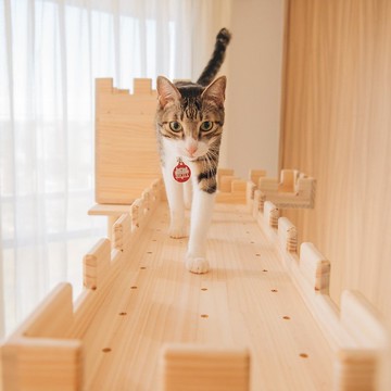 【W510S】咪恰夢工房 - 樂高概念貓跳台 - 城垛走廊特別版