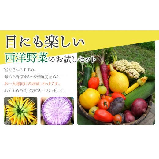 ふるさと納税 長野県 東御市 お一人様向け、お試し季節のお野菜セット