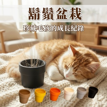 鬍鬚盆栽 貓鬍鬚盆栽 鬍鬚收集器 鬍鬚收集 貓咪 狗狗鬍鬚 貓奴禮物 寵物紀念 貓咪用品