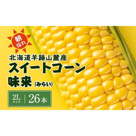 ふるさと納税 北海道 スイートコーン 味来 約10kg 2Lサイズ 計26本 とうもろこし とうきび コーン 新鮮 採れたて 産直 JAようてい 送料無料 北.. 北海道倶知安町