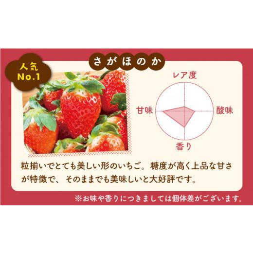 ふるさと納税 佐賀県 白石町 白石産冷凍いちご（さがほのか・パールホワイト）750g [IAQ003]