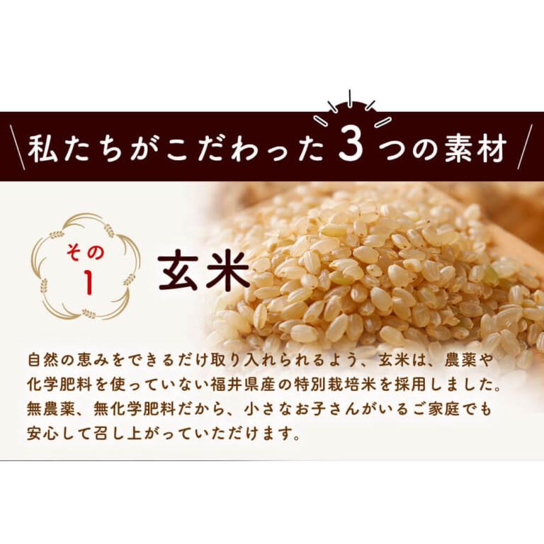 玄米ごはん レトルト エコパック 200g×30袋 無農薬・無化学肥料 令和5年福井県産新米 特別栽培米 コシヒカリ使用 送料無料