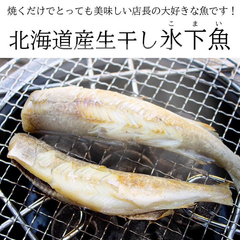 北海道産 こまい 500g前後 Lサイズ 6尾前後 氷下魚 コマイ 生干し 一夜干し 干物 業務用 おつまみ 魚 食べ方