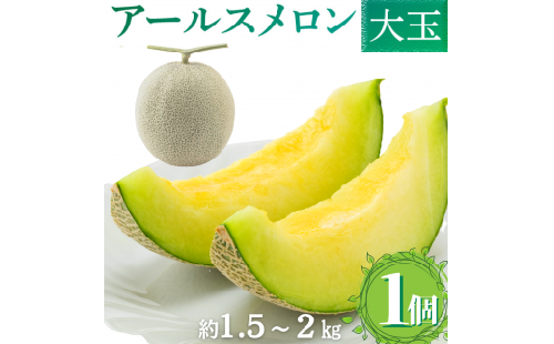 高級アールスメロン（マスクメロン）1個入り（約1.5kg～2kg）／大玉