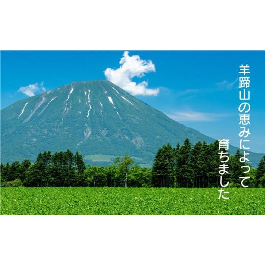 ふるさと納税 北海道 喜茂別町 きたかむい10Ｋｇ