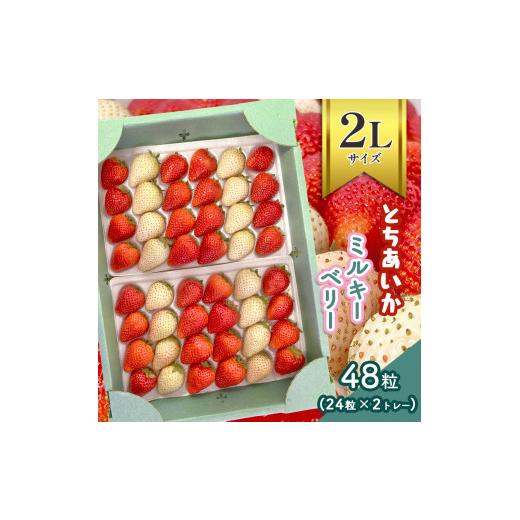 ふるさと納税 栃木県 真岡市  2Lサイズ とちあいか・ミルキーベリー食べ比べセット 真岡市 栃木県　【２０２３年10月から寄付額を変更させて頂き…