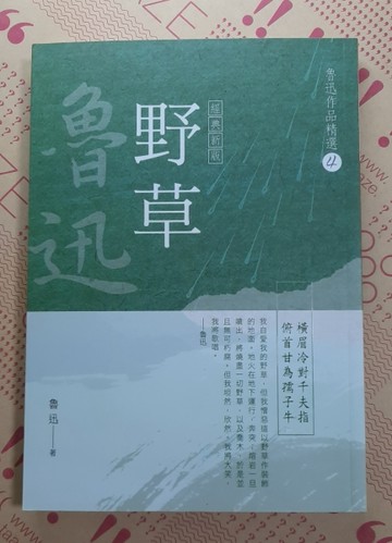 魯迅作品精選（4）：野草【經典新版】[二手書_良好]