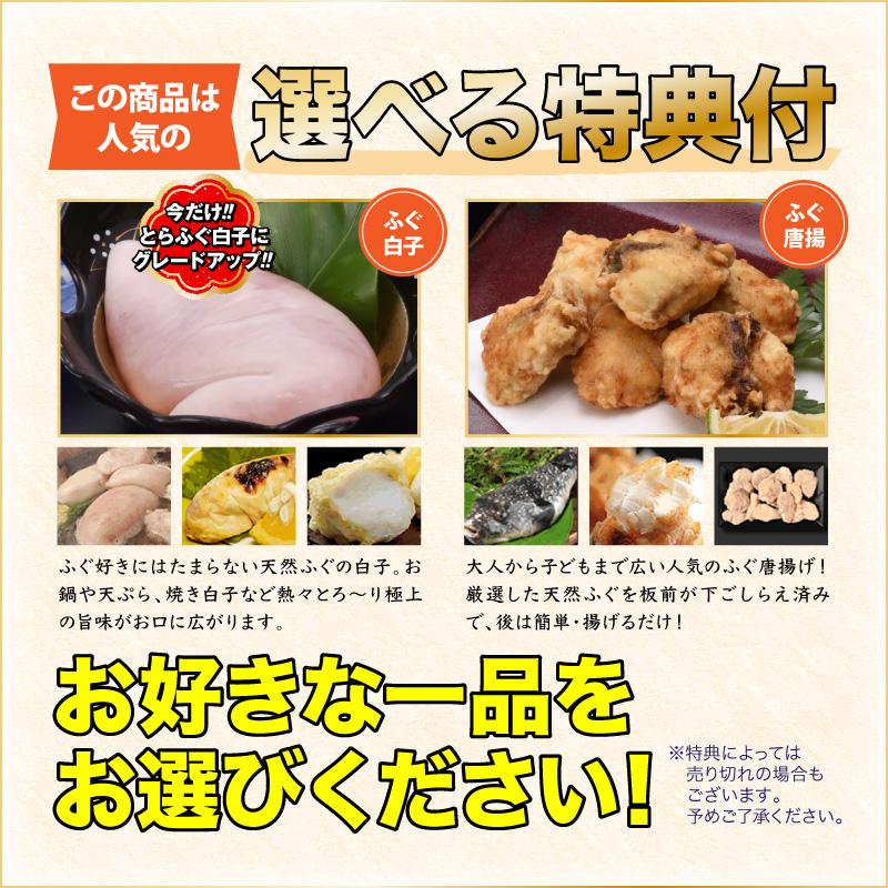 ふぐ フグ とらふぐ刺しフグチリ「ふぐ刺身ふぐ鍋セット特典付2人前／冷蔵」