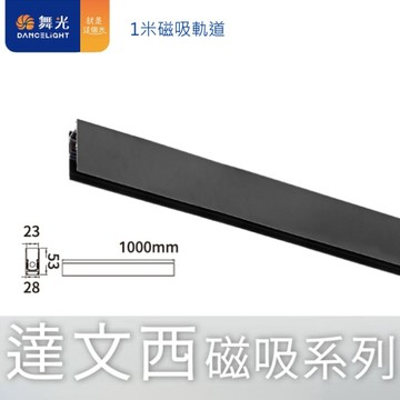 【燈王的店】舞光 達文西磁吸式 1米崁入式磁吸軌道 LED-MT1-1