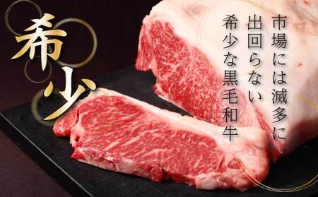 登別牛サーロインステーキ肉400g（200g×2枚）