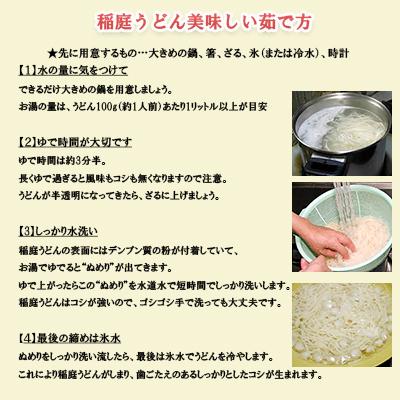 稲庭うどん つゆ付き 10人前 誕生日 プレゼント ギフト 母の日 父の日 敬老の日 お中元 お歳暮 内祝 お年賀 ご当地グルメ お取り寄せ うどん好き