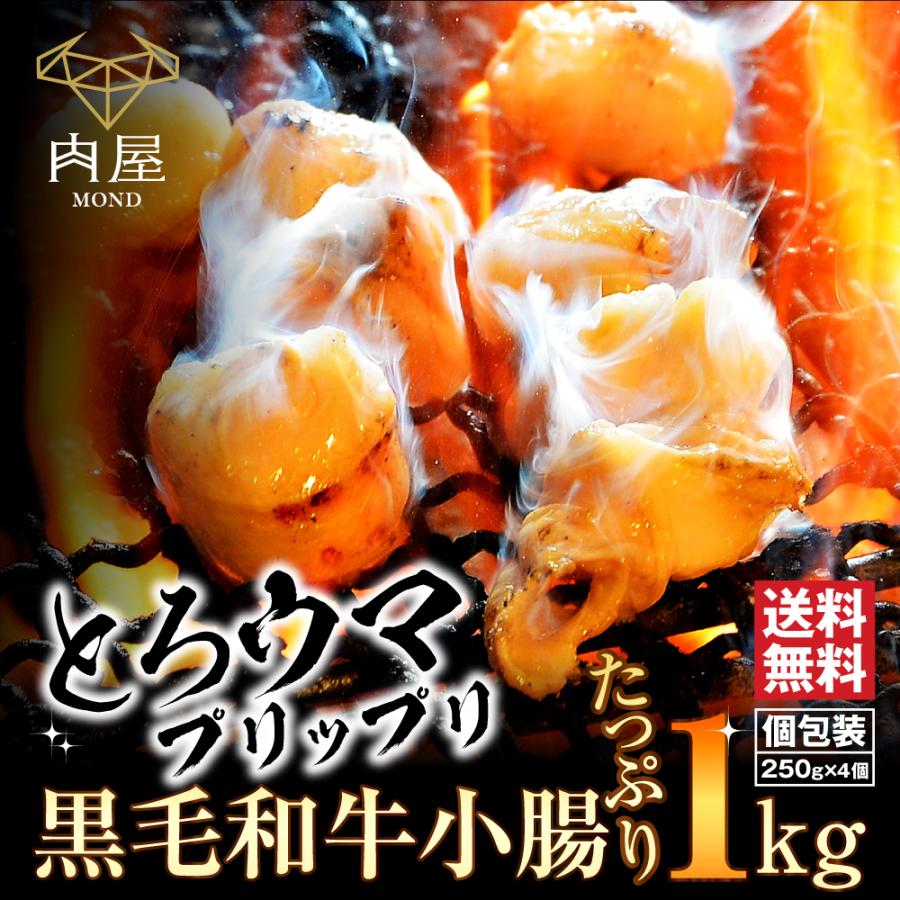 焼肉 肉 牛肉 A5等級 黒毛和牛 もつ 小腸 1kg (250g*4) 国産   プレーン もつ鍋 バーベキュー BBQ ホルモン 冷凍 お取り寄せ グルメ