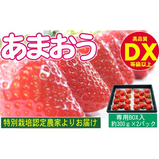 ふるさと納税 福岡県 朝倉市 あまおう DX等級以上 約300g×2パック ※配送不可：北海道・東北・沖縄・離島