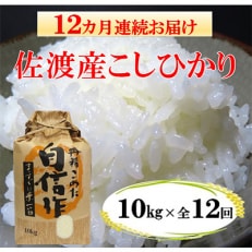 佐渡産こしひかり10kg(精米)全12回