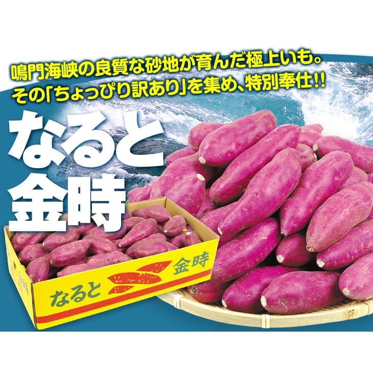 さつまいも 5kg 徳島産 ご家庭用 なると金時 送料無料 食品