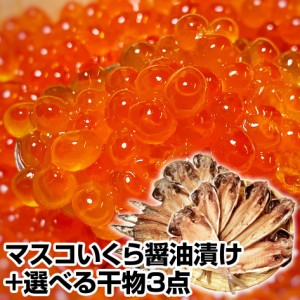 ★マスコいくら醤油漬けと 一品一品選べる メガ盛り 干物セット★いくら500g