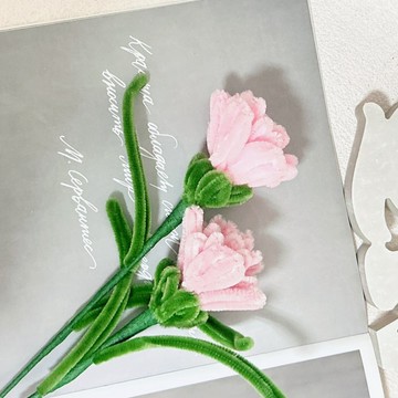【手工訂製】母親節花束 婦女節花束 / 康乃馨花束