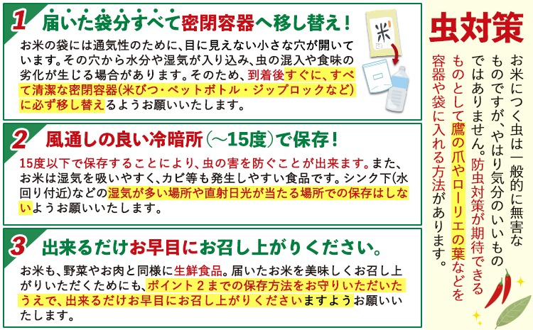 新米 令和5年産 無洗米 特A受賞品種 ひのひかり 森のくまさん 米 送料無料 計 10kg 食べ比べ ヒノヒカリ 厳選 熊本県産(長洲町産含む) 10キロ 5kg×2袋 米 お米 森くま 10kg ブランド米 《出荷時期をお選びください》熊本県 長洲町---ng_mkhinomu5_23_11500_10kg---