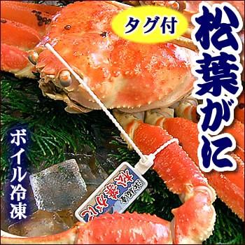 （送料無料）明治創業三代目・プロ茹で松葉がに（姿）（冷凍）1尾×約800〜900g前後（足1-2本落ち）（松葉ガニ 松葉蟹 松葉かに 松葉カニ）