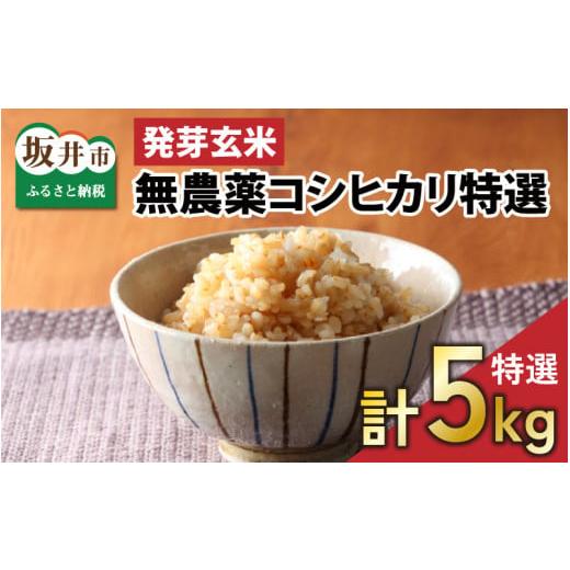 ふるさと納税 福井県 坂井市 無農薬コシヒカリ特選 真空パック5kg〜玄米以上の栄養価と白米に近い柔らかさ〜【2023…