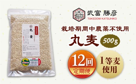 丸麦500g（1等麦使用）特別栽培農産物 麦[HAJ042]