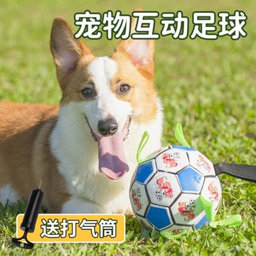 狗狗玩具球耐咬神器大狗解悶狗球足球金毛寵物消耗體力拉布拉多