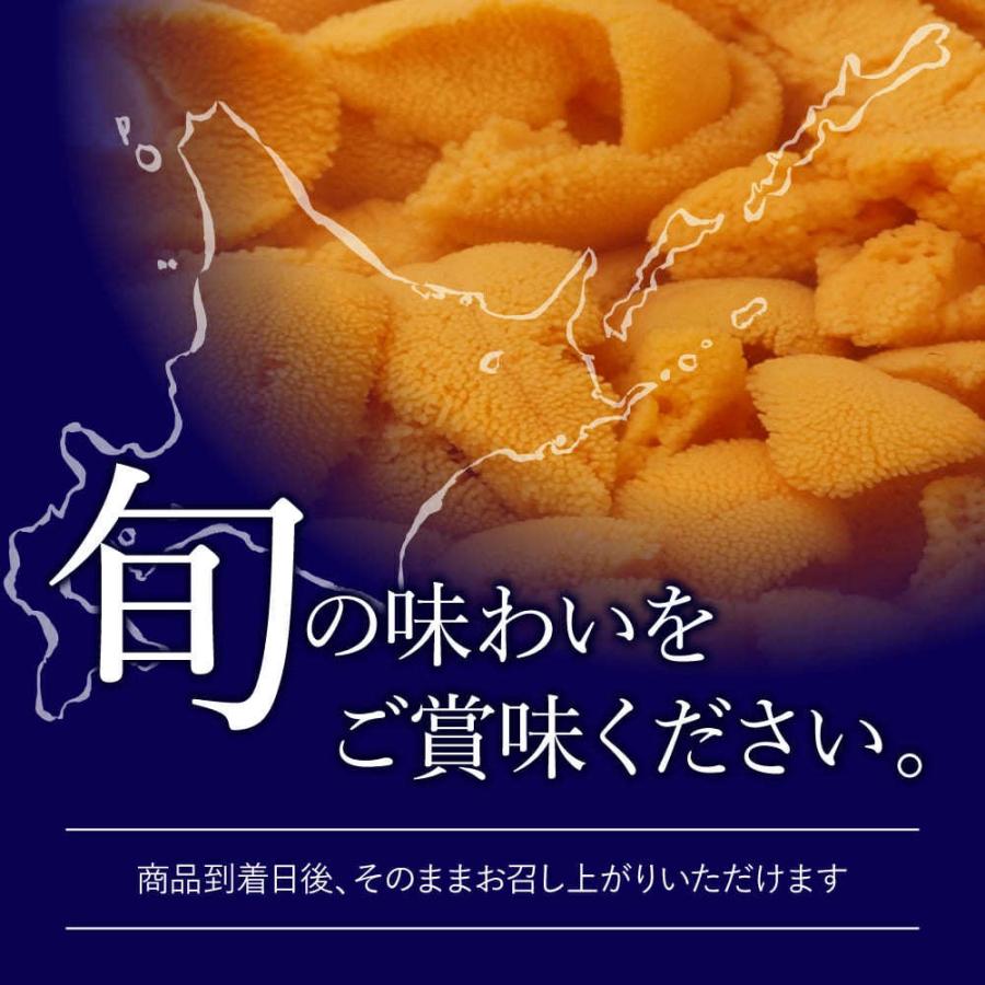 塩水うに 100g エゾバフンウニ 北海道産・北方四島産 無添加塩水使用