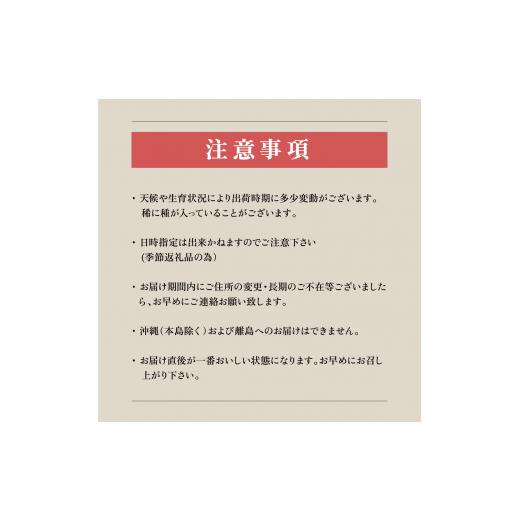 ふるさと納税 山梨県 笛吹市 山梨県産の美味しい桃 たっぷり入って約2kg 5〜8玉　2024年7月から順次発送予定 桃 大人気 高評価　産地直…