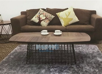 雪之屋 德斯各大茶几(鐵腳/MDF貼耐磨木皮) X299-02