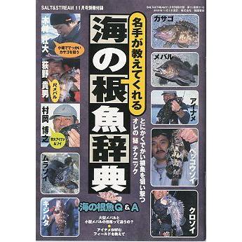 SALTSTREAM（ソルト＆ストリーム）　２００５年１１月号　　＜送料無料＞