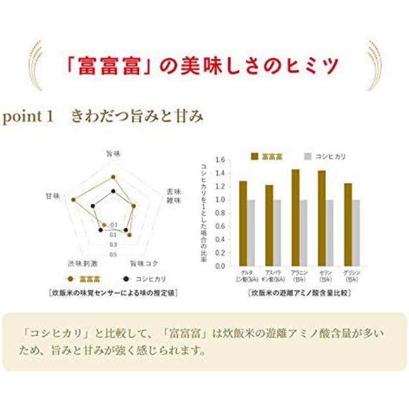 精米 富山県 富富富 白米 5kg 令和4年産