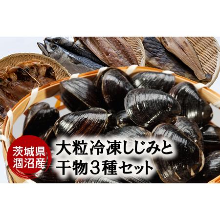 ふるさと納税 涸沼産 大粒 冷凍 シジミ 1.5kg 干物 3点セット （サバ ホッケ 目光） しじみ 蜆 大和しじみ ヤマトシジミ 大玉 砂抜き済 冷凍 味.. 茨城県大洗町