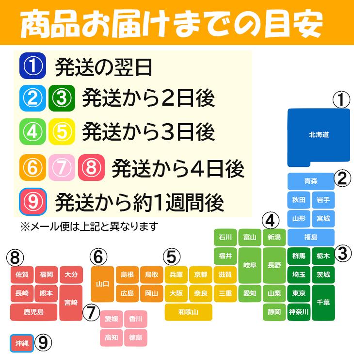 ギフトそうめん 麺 セット 揖保乃糸 手延素麺 特級品 10束 送料無料 FAS20 倉出